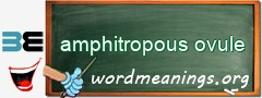 WordMeaning blackboard for amphitropous ovule